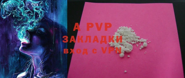 тгк Магас