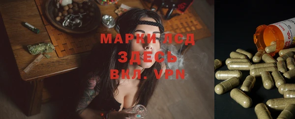 тгк Магас