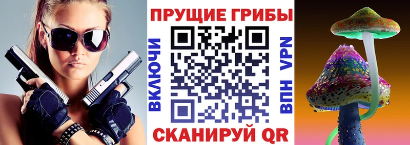 Псилоцибиновые грибы Psilocybine cubensis  Галич 